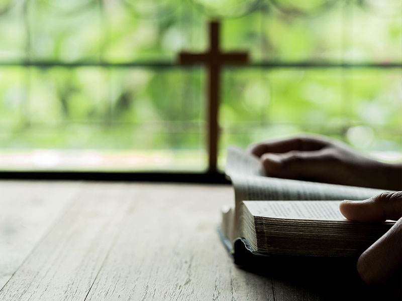 You are currently viewing Journey through the Bible